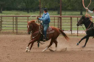 Tivio Johnson Delis, 11 Year Old Sorrel Quarter Horse Mare for Sale in Carthage, MO, photo 3 of 5