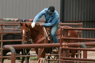 Tivio Johnson Delis, 11 Year Old Sorrel Quarter Horse Mare for Sale in Carthage, MO, photo 4 of 5
