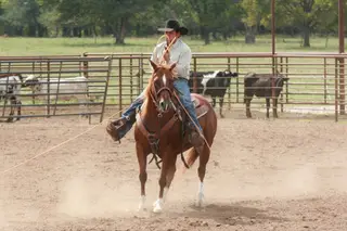 Tivio Johnson Delis, 11 Year Old Sorrel Quarter Horse Mare for Sale in Carthage, MO, photo 5 of 5