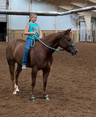 Lil Pep N My Step (Billye), 7 Year Old Bay Quarter Horse Mare for Sale in Roland, OK, photo 5 of 5