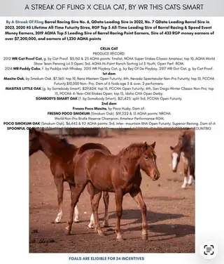 Filly by Streak of Fling, 1 Year Old Sorrel Quarter Horse Filly for Sale in Elk City, OK, photo 9 of 9