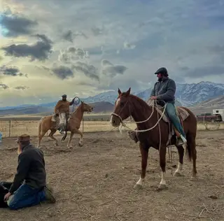 Boonies Roy Gun, 16 Year Old Sorrel Quarter Horse Gelding for Sale in Adel, OR, photo 2 of 5