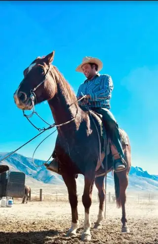 Boonies Roy Gun, 16 Year Old Sorrel Quarter Horse Gelding for Sale in Adel, OR, photo 5 of 5
