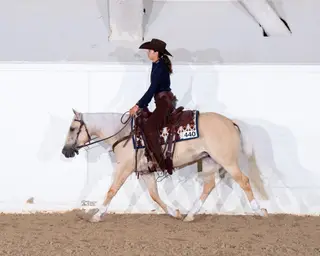 Alborada Gun (Rita Mae), 3 Year Old Palomino Quarter Horse Filly for Sale in Rio Verde, AZ, photo 3 of 5