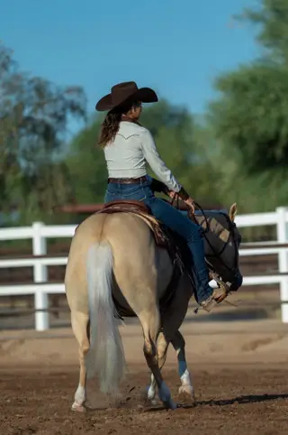Alborada Gun (Rita Mae), 3 Year Old Palomino Quarter Horse Filly for Sale in Rio Verde, AZ, photo 5 of 5