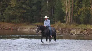 Guns, 4 Year Old Black Quarter Horse Gelding for Sale in MT, photo 4 of 6