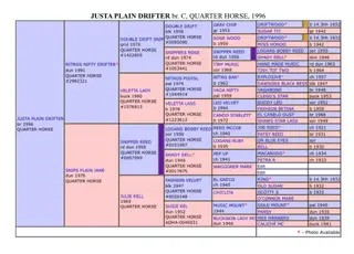 Governor, 2 Year Old Bay Quarter Horse Gelding for Sale in Willcox, AZ, photo 5 of 5
