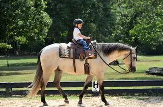 JCI Bucks Lil Light (Moki), 4 Year Old Buckskin Quarter Horse Gelding for Sale in Bakersfield, CA, photo 4 of 6