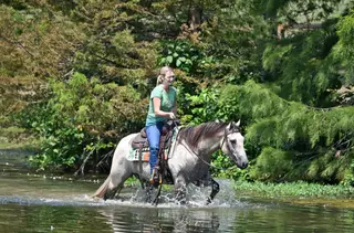 JCI Bucks Lil Light (Moki), 4 Year Old Buckskin Quarter Horse Gelding for Sale in Bakersfield, CA, photo 6 of 6