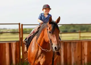 Sun Frosted Pistol (Scooter), 7 Year Old Bay Quarter Horse Gelding for Sale in Troy, TX, photo 5 of 5