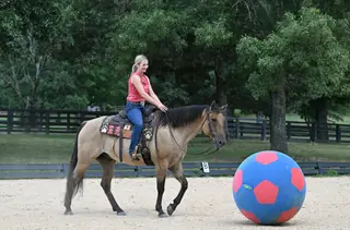 MG DAS QUINCYSBADGER, 6 Year Old Buckskin Quarter Horse Gelding for Sale in Alexander, AR, photo 2 of 6