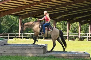 MG DAS QUINCYSBADGER, 6 Year Old Buckskin Quarter Horse Gelding for Sale in Alexander, AR, photo 3 of 6