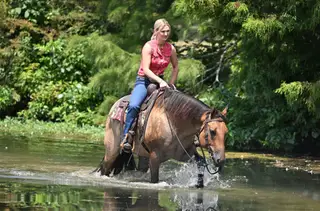 MG DAS QUINCYSBADGER, 6 Year Old Buckskin Quarter Horse Gelding for Sale in Alexander, AR, photo 5 of 6
