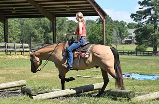 MG DAS QUINCYSBADGER, 6 Year Old Buckskin Quarter Horse Gelding for Sale in Alexander, AR, photo 6 of 6
