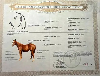Katie Love Money, 1 Year Old Sorrel Quarter Horse Filly for Sale in Hennessey, OK, photo 2 of 4