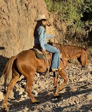 Chili, 7 Year Old Roan Quarter Horse Gelding for Sale in Magdalena, NM