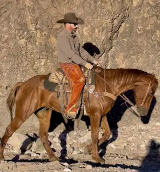 Chili, 7 Year Old Roan Quarter Horse Gelding for Sale in Magdalena, NM, photo 2 of 5