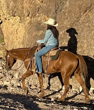 Chili, 7 Year Old Roan Quarter Horse Gelding for Sale in Magdalena, NM, photo 4 of 5