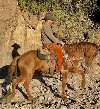 Chili, 7 Year Old Roan Quarter Horse Gelding for Sale in Magdalena, NM, photo 5 of 5