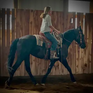 Moonlit Whirl n Storm (Stormy), 2 Year Old Black Friesian Quarter Horse Cross Filly for Sale in Laurel, MT, photo 4 of 4