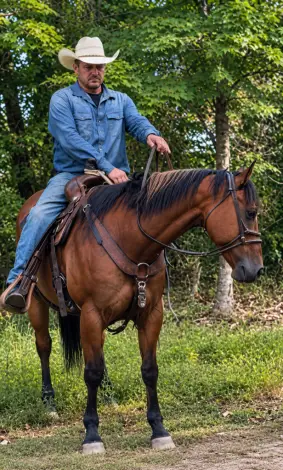 Trustee, 12 Year Old Buckskin Quarter Horse Gelding for Sale in Cincinnati, OH, photo 4 of 4