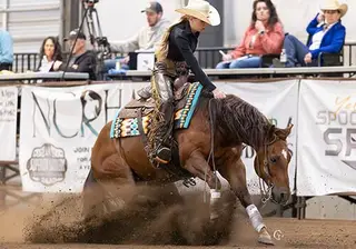Hercs Nitelite Roost, 8 Year Old Sorrel Quarter Horse Gelding for Sale