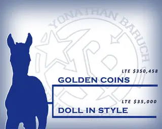 Horse by Golden Coins, Quarter Horse for Sale, photo 2 of 2