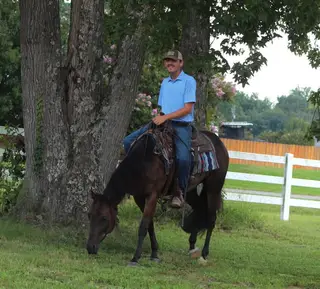 Right Black Atcha (Graham), 3 Year Old Black Quarter Horse Gelding for Sale in Selma, NC