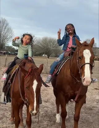Reba, 3 Year Old Sorrel Mare for Sale in Schulenburg, TX, photo 3 of 6