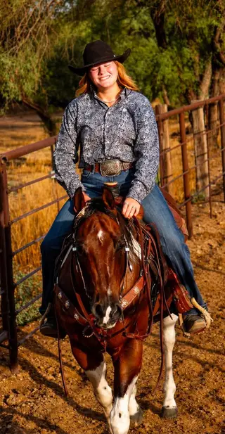 Leo, 16 Year Old Bay Grade Gelding for Sale in Wickenburg, AZ, photo 4 of 4