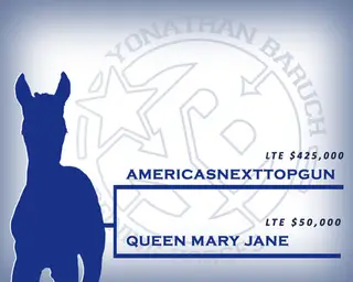 Horse by Americasnexttopgun, Quarter Horse for Sale, photo 2 of 2