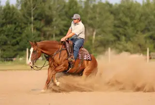 Carmello, 5 Year Old Sorrel Quarter Horse Gelding for Sale in River Falls, WI, photo 2 of 5