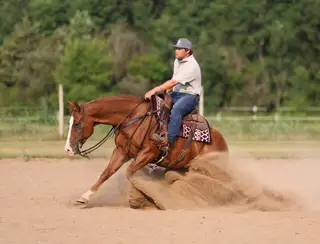 Carmello, 5 Year Old Sorrel Quarter Horse Gelding for Sale in River Falls, WI, photo 5 of 5