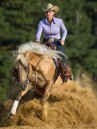 Lenas Dash of Silver, 6 Year Old Grulla Quarter Horse Mare for Sale in CO, photo 4 of 8