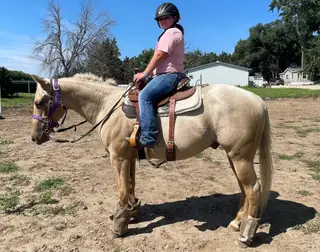 Cool Cruizin Cowboy (Cheddar), 2 Year Old Palomino Quarter Horse Gelding for Sale in Chatfield, MN, photo 4 of 5