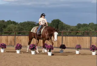 Media Famous (Charlotte), 3 Year Old Sorrel Quarter Horse Mare for Sale in Buffalo, MO, photo 2 of 6