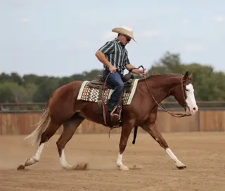 Media Famous (Charlotte), 3 Year Old Sorrel Quarter Horse Mare for Sale in Buffalo, MO, photo 4 of 6