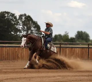 Media Famous (Charlotte), 3 Year Old Sorrel Quarter Horse Mare for Sale in Buffalo, MO, photo 5 of 6