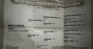 Media Famous (Charlotte), 3 Year Old Sorrel Quarter Horse Mare for Sale in Buffalo, MO, photo 6 of 6