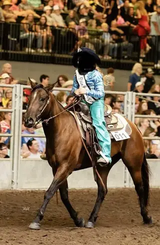 Bay Quarter Horse Mare, 7 Year Old Bay Quarter Horse Mare for Sale, photo 5 of 5