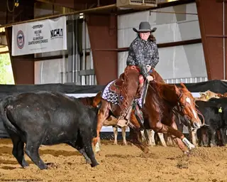Flying F Candybar (Candyman), 13 Year Old Sorrel Quarter Horse Gelding for Sale in Franklin Furnace, OH