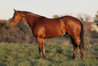 HSF High Voltage (Spark)