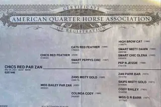 Chics Red Par Zan (Sally), 5 Year Old Sorrel Quarter Horse Mare for Sale in Monrovia, IN