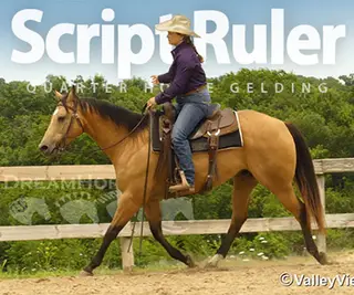 Script Ruler
