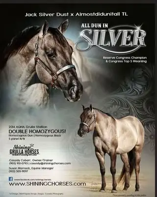 E Z Bre Z Beautiful (Covergirl), 2 Year Old Sorrel Quarter Horse Filly for Sale in Parma, ID, photo 4 of 8
