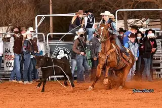 Azuls Caballo Leo, 12 Year Old Chestnut Quarter Horse Mare for Sale in Stroud, OK, photo 2 of 4