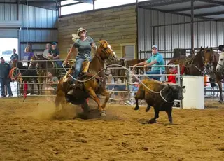 Azuls Caballo Leo, 12 Year Old Chestnut Quarter Horse Mare for Sale in Stroud, OK, photo 3 of 4