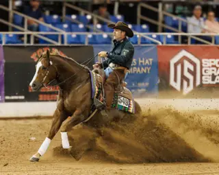 Joe The Whoa, 7 Year Old Quarter Horse Gelding for Sale in Buffalo, MO