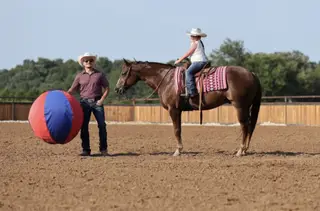 Joe The Whoa, 7 Year Old Chestnut Quarter Horse Gelding for Sale in Buffalo, MO, photo 4 of 6