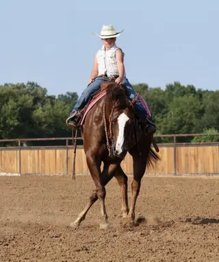 Joe The Whoa, 7 Year Old Chestnut Quarter Horse Gelding for Sale in Buffalo, MO, photo 5 of 6